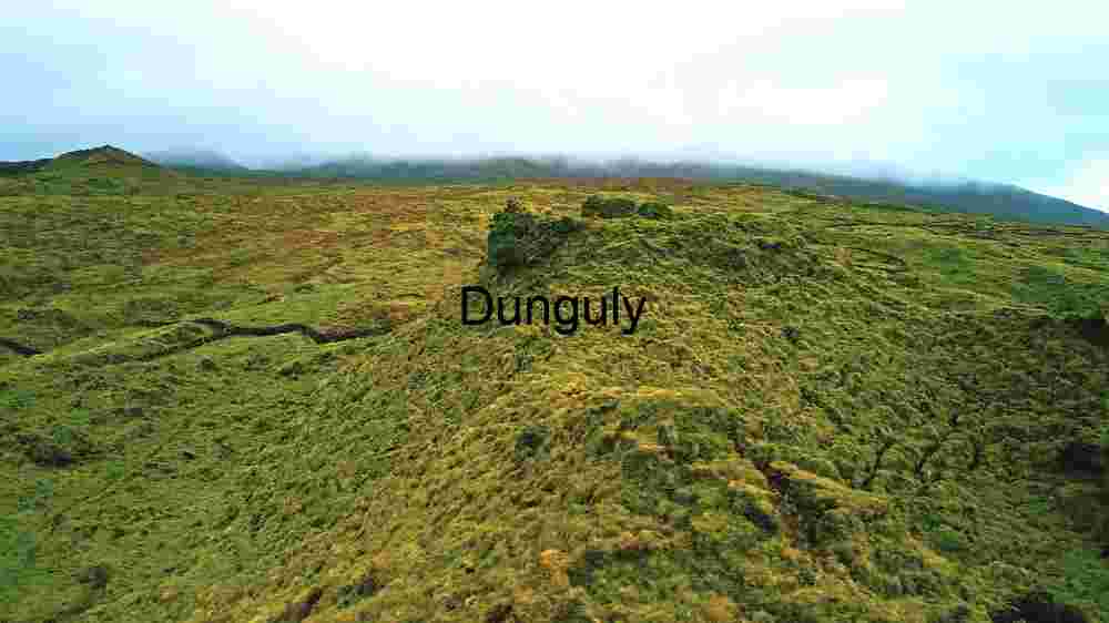 Verdant Highland Terrain