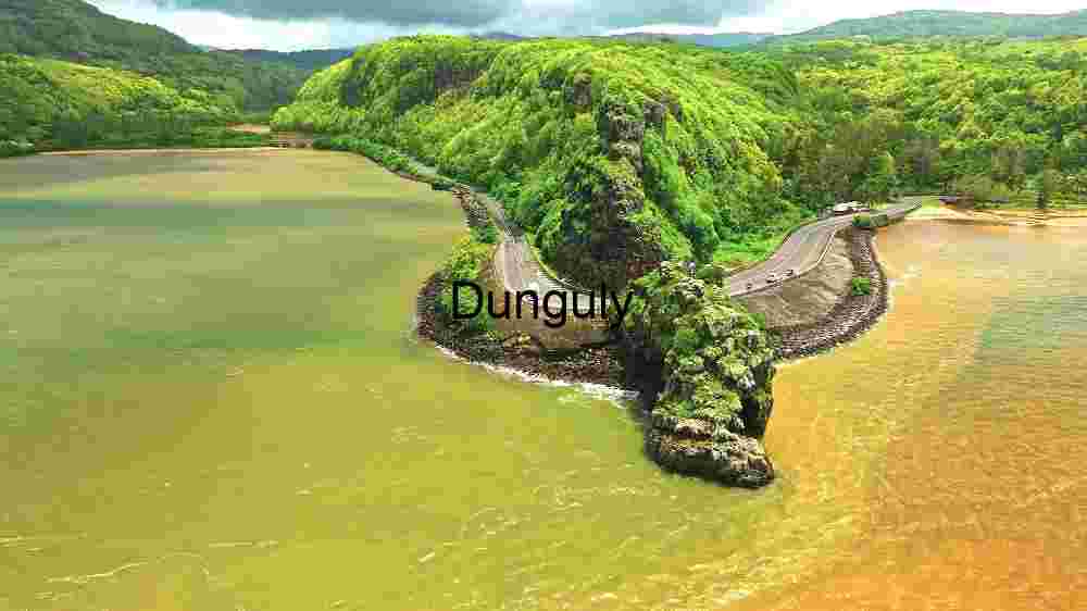 Serene Coastal Roadway