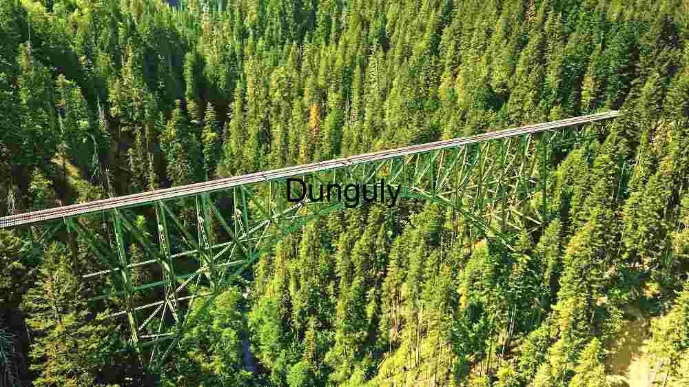 Verdant Expanse: The Bridge Over Nature's Canopy