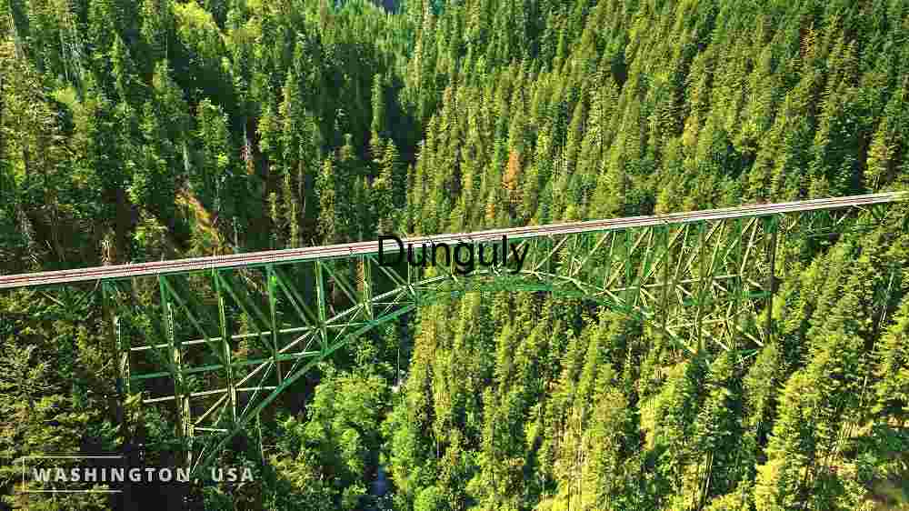 Long Green Bridge Spanning Across Dense Forest