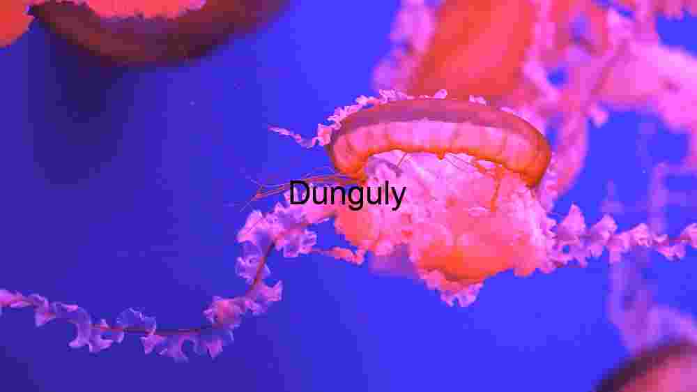 Ethereal Underwater Dance: The Grace of Jellyfish