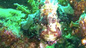 Exploring the Cosmos: A Journey Through Space and Time