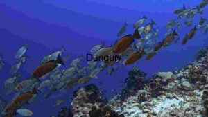 Underwater Serenity: A School of Fish Amidst Coral Reefs