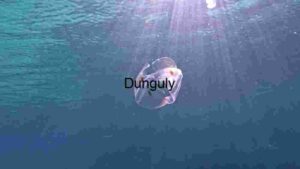 Ethereal Underwater Dance: The Graceful Jellyfish