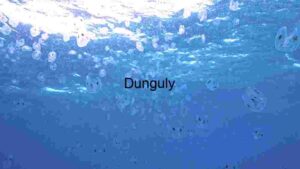 Underwater Jellyfish Ballet