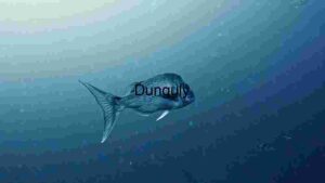 Serenity Underwater: The Graceful Swim of a Tropical Fish