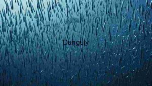 Serenity Underwater: The Graceful Swim of a Tropical Fish