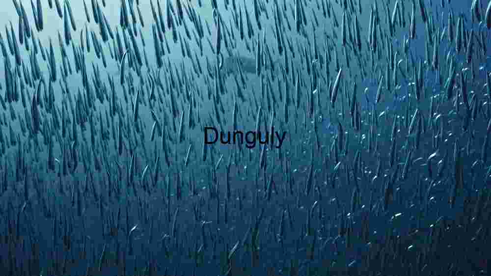 Serenity Underwater: The Graceful Swim of a Tropical Fish