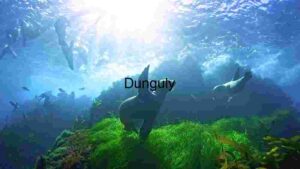 Underwater Serenity: A Glimpse into the Marine World