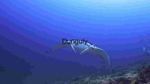 Graceful Glide: The Majestic Manta Ray in its Natural Habitat