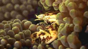 Underwater Camouflage: The Art of Blending In