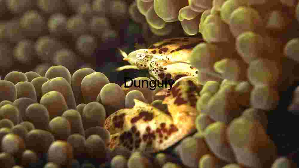 Underwater Camouflage: The Art of Blending In