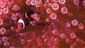 Vivid Microcosm: A Journey Through Cellular Landscapes