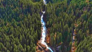 Majestic Waterfall Amidst Lush Forest