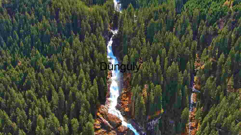Majestic Waterfall Amidst Lush Forest