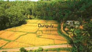 Harvest Season: A Glimpse of Tropical Agriculture