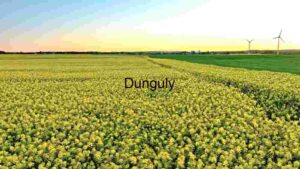 Sustainable Energy and Agriculture: A Harmonious Landscape