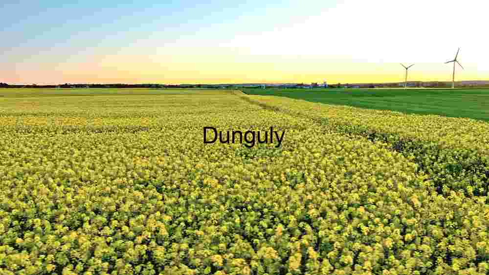 Sustainable Energy and Agriculture: A Harmonious Landscape