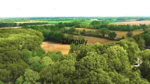 Aerial View of a Lush Green Landscape