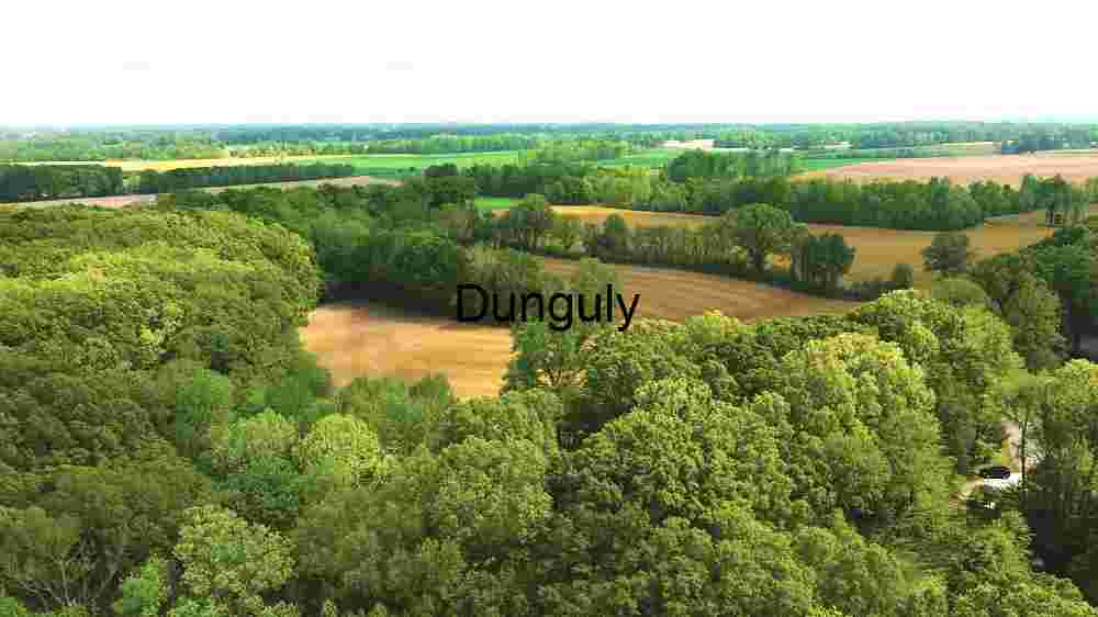 Aerial View of a Lush Green Landscape