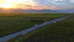 Serene Sunset Drive Through Lush Fields