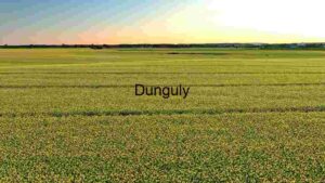 Golden Hour Over Canola Fields