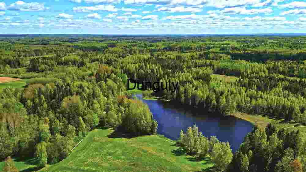Verdant Vista: Aerial View of a Lush Forest Landscape with Serene Lake