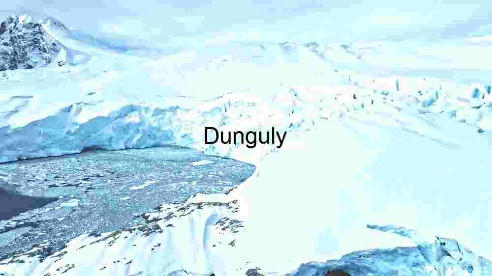Arctic Serenity: A Glimpse into the Frozen Wilderness