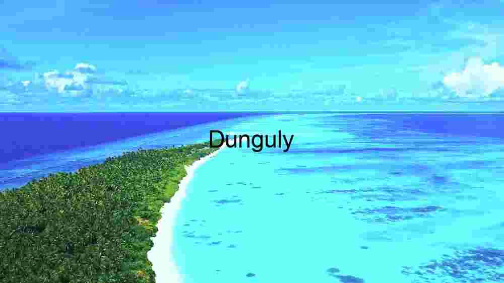 Tropical Paradise: Aerial View of a Lush Green Island