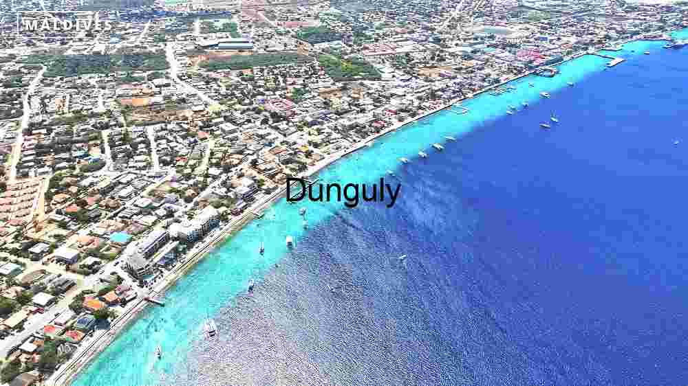 Vibrant Intersection of Urban Life and Marine Beauty