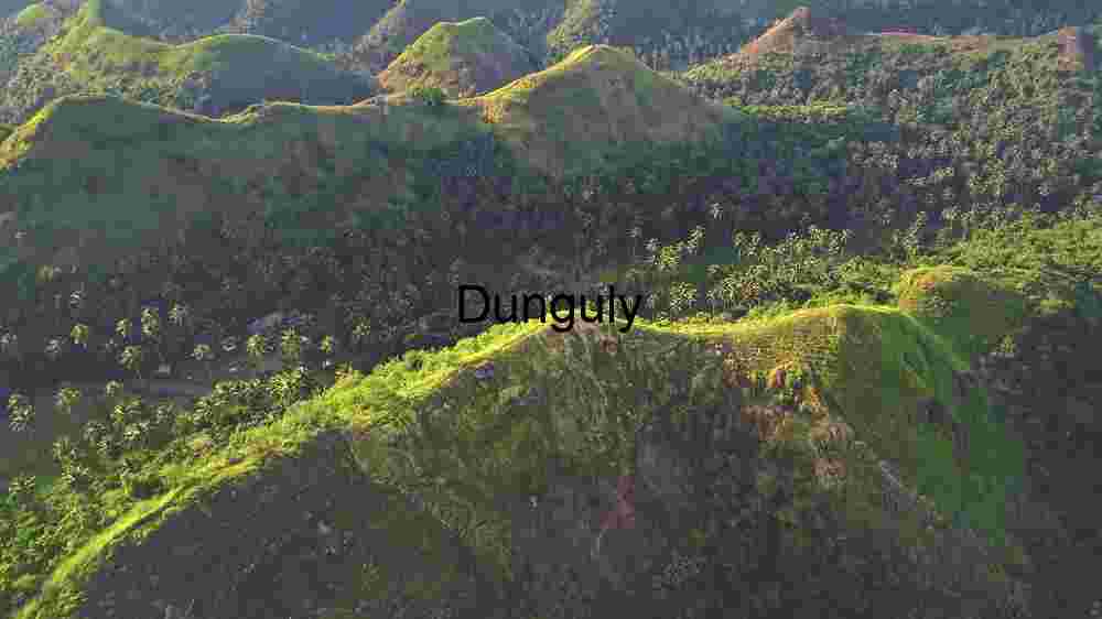 The Tropical Mountain Tapestry