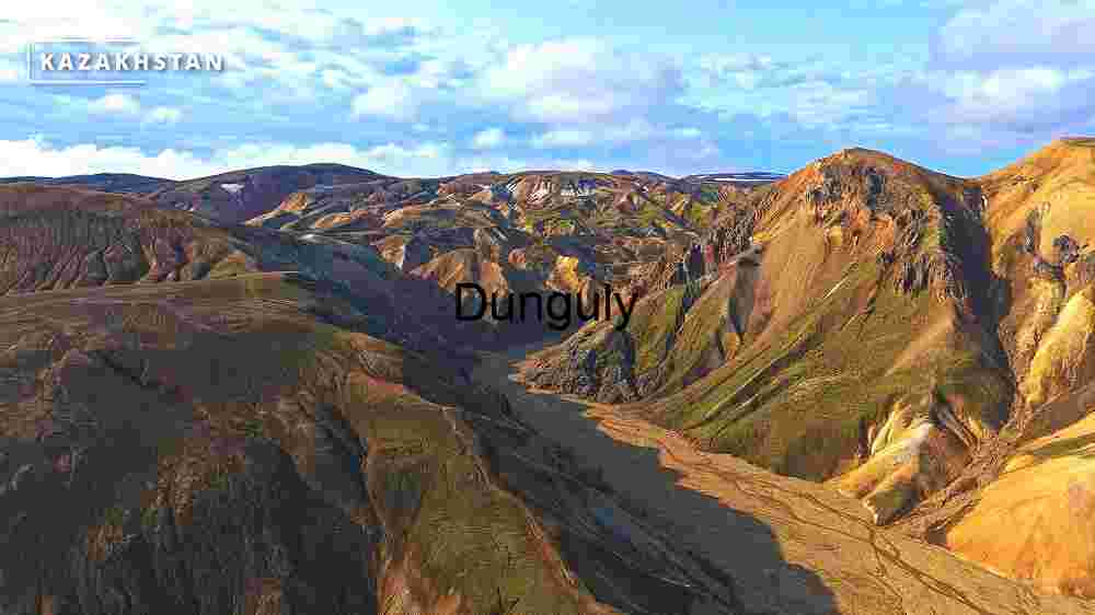 A Symphony of Nature's Colores