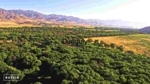 Verdant Valley: A Panoramic View of Russia's Diverse Landscape