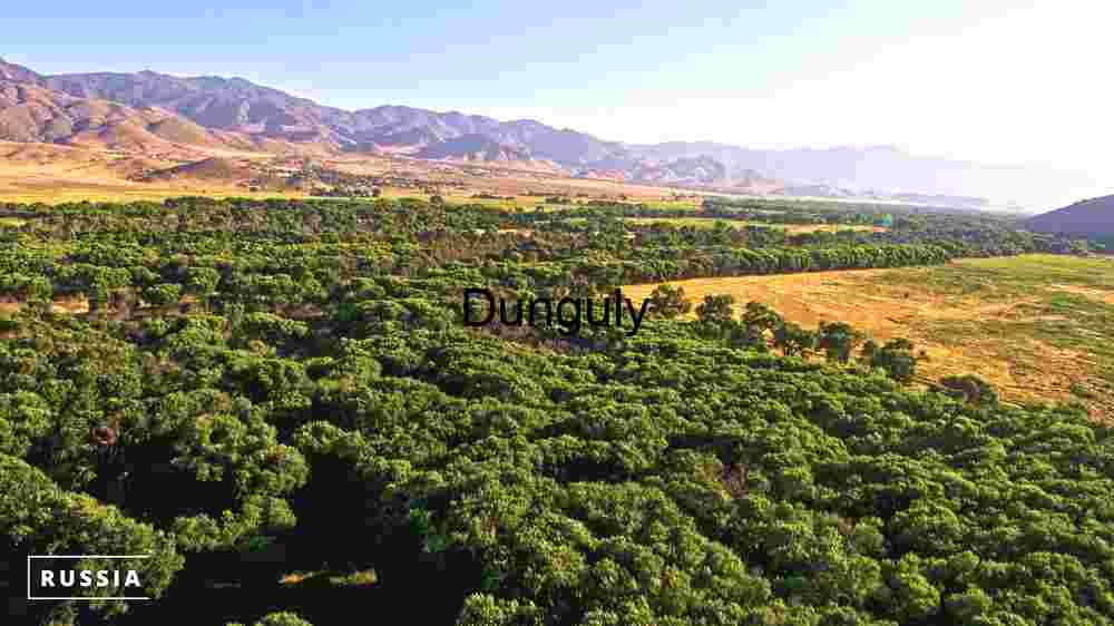 Verdant Valley: A Panoramic View of Russia's Diverse Landscape