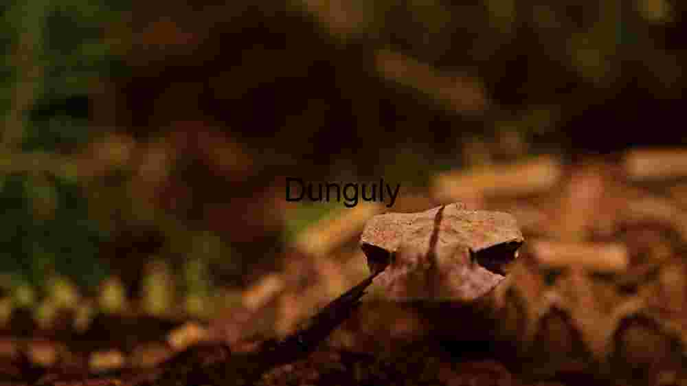 Emergence in the Undergrowth