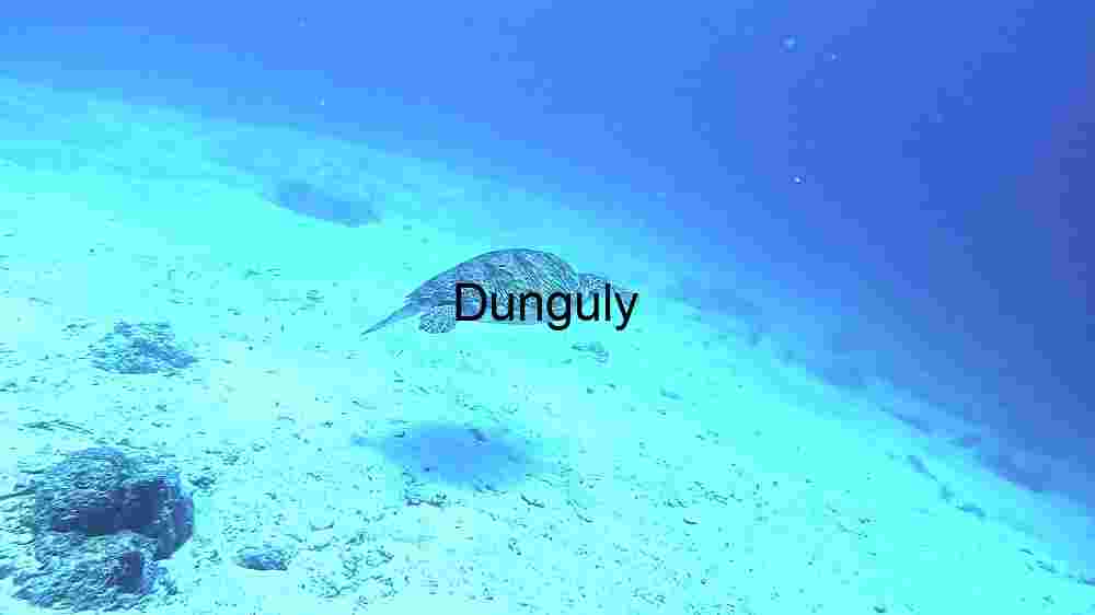 Serene Underwater Journey