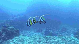 Underwater Serenity: The Moorish Idol