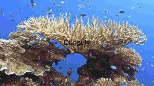 Underwater Ecosystem Diversity” Description: A vibrant underwater scene showcasing a diverse coral reef ecosystem, teeming with life and natural beauty