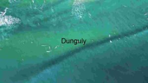 Serene Aquatic Ballet