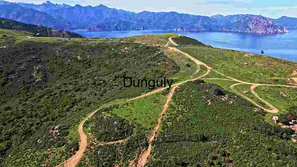 Serene Coastal Landscape