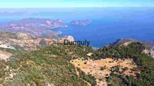 Coastal Mountain View