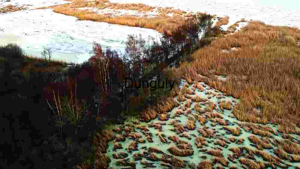 Winter Wetland Aerial View