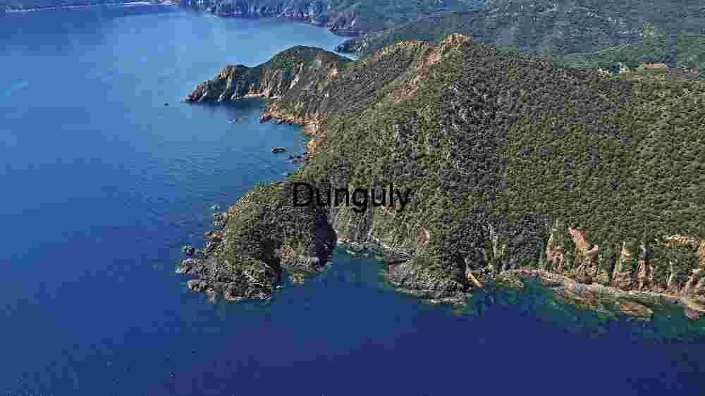 Coastal Elegance: Aerial View of a Lush Peninsula