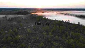 Misty Sunrise Over Forest
