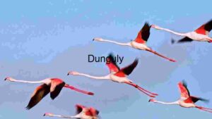 Graceful Flight: A Flock of Flamingos in Motion