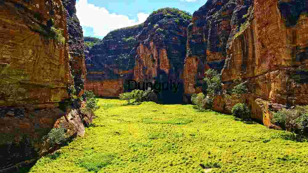 Verdant Canyon Oasis