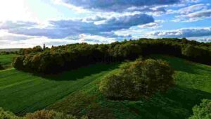 Serene Green Countryside View