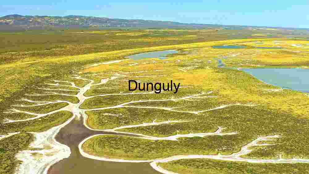 Aerial View of a Wetland Ecosystem