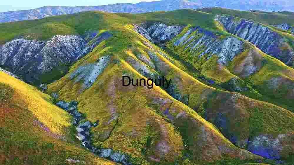 Vibrant Alpine Tapestry