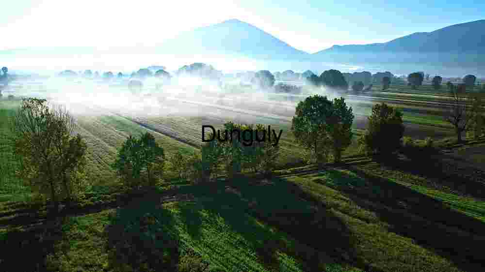 Misty Morning in the Valley